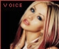Voice