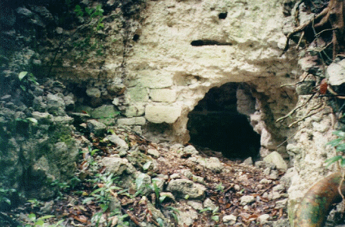 Belize-Looters Tunnel