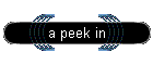 a peek in