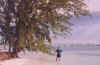 bvi15.jpg (49133 bytes)
