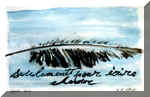 watercolor - acquerello