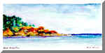 Watercolor - Acquerello