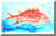 Watercolor