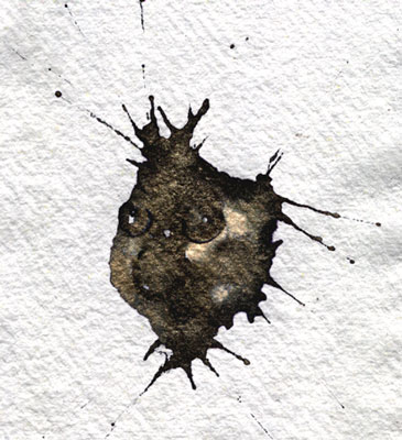 Buffussima buffa macula - Massimo D. Zilioli