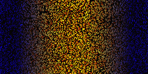SCANNER ELABORAZIONE A COMPUTER - Autore Massimo D. Zilioli