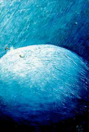 Il salto.jpg
