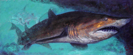 FONDALE - Massimo D. Zilioli - RITORNA ALLA GALLERIA - BACK