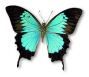 Chronic Fatigue Syndrome