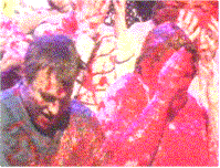 gunge.gif (17532 bytes)