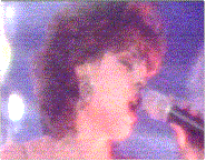 hppatti2.gif (14967 bytes)