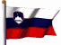 Slovenska verzija