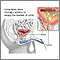 Bladder catheterization, male