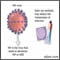 HIV