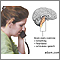 Brainstem function