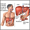 ERCP