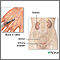 Kidney function tests