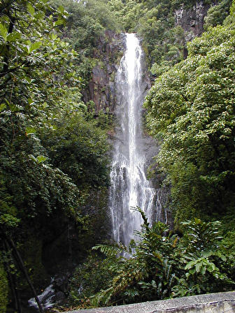 Picture of waterfall in Hawaii