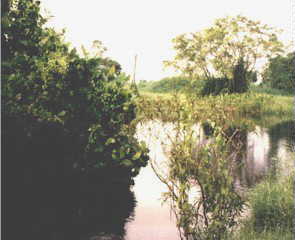 sbuloh6.jpg (11435 bytes)