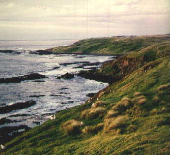 vic16.jpg (18373 bytes)