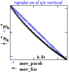rapi_y.gif (2484 bytes)