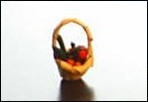 Vegetable Basket