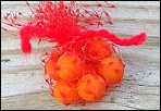 Oranges in Bag