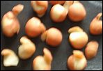 Half-Peeled Potatoes