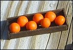 Orange Crate