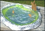 Silently Swimming