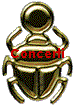 Concerti