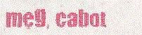 young adult books