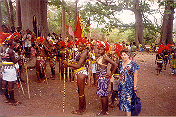 Senegalese image