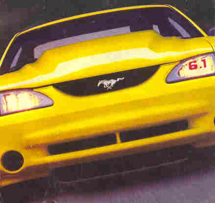 mustang1.jpg - 12087 Bytes