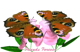 POEM TO A ROSE