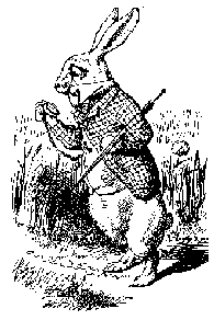 RABBIT -- I SHALL BE LATE!