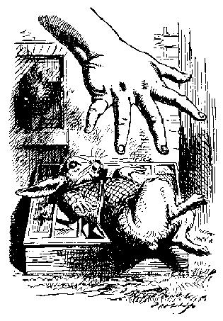ALICE SPREAD OUT HER GIGANTIC HAND.