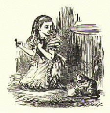 DINAH the CAT at HOME.