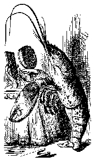 LOBSTER DANCE.