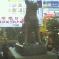 statue of Hachiko next to Shibuya-eki