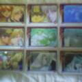 pic of Sanzo cards