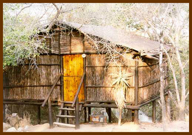 4. A Treehouse at Mac's Treehouse Camp