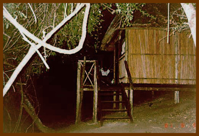 5. Our home at Mac's Treehouse Camp