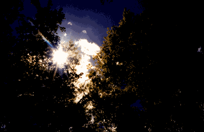 LIGHT: The first steps to fulfillment are focus and effort... CLICK HERE FOR MORE.