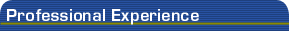 Professional experience