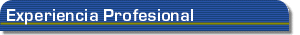 Experiencia Profesional.