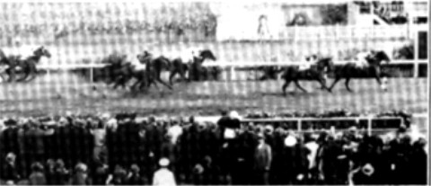 Windbag wins 1925 Melbourne Cup