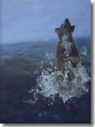Water Rat