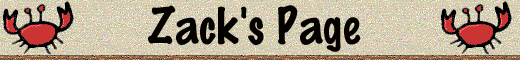 zackhd.gif (14429 bytes)