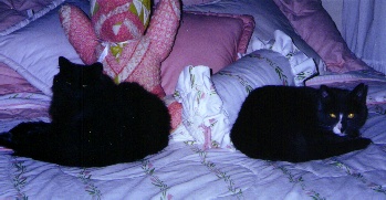 cece