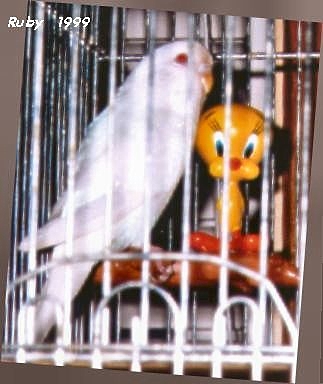 Ruby Tweety